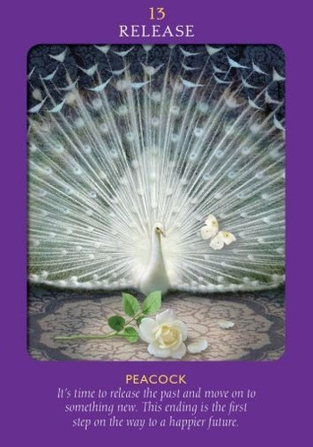 Imagen 3 de 8 de Animal Tarot Cards, Este Tarot Esta En Ingles, Por Doreen Vi