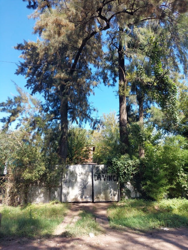 Imagen 4 de 8 de Lote Tipo Quinta Con Mejoras En Paso Del Rey Barrio Zapiola