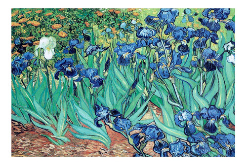 Vinilo 60x90cm Van Gogh Lirios Pintura Flores Arte