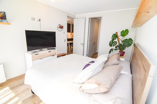 Hermoso Departamento Con Patio - Ñuñoa