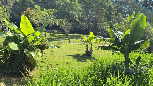 Imagem 11 de 30 de Chácara À Venda Em Joaquim Egídio - Ch016424