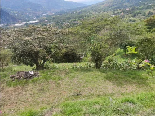 Lote En Girardota Vereda El Limonar