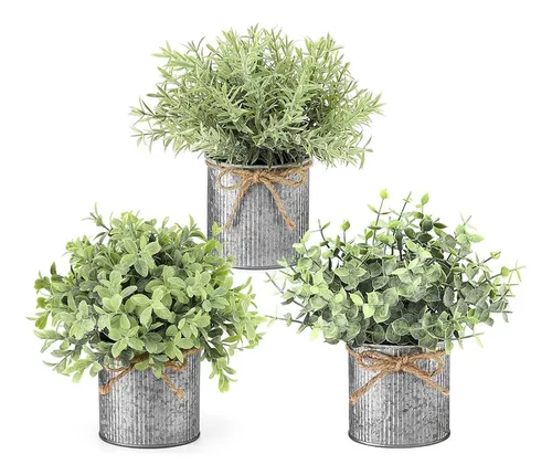 comprar Pequeas Plantas En Macetas De Metal Galvanizado De Granja Pa