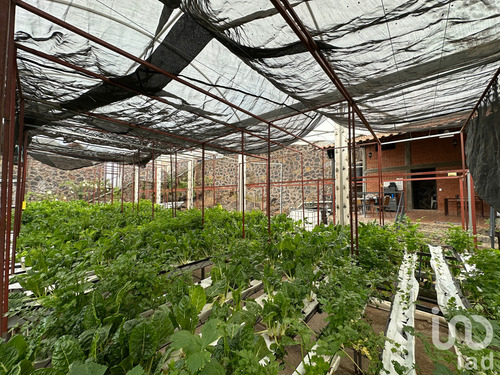 Venta Terreno 0 Ambiente San Andrés Totoltepec