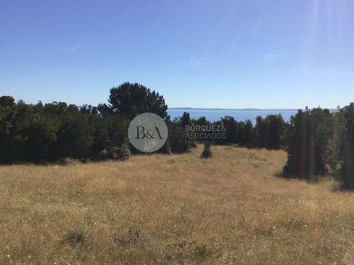 20939 - Sitio En Isla Quihua