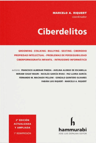Ciberdelitos / Marcelo Riquert