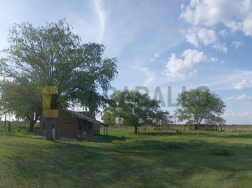Imagen 12 de 21 de Casa Quinta En Venta - Belgrano A Norte - Gualeguaychú