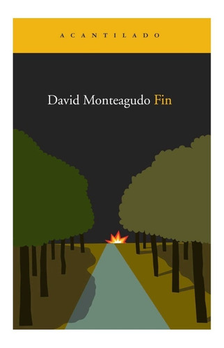Fin - David Monteagudo, Novela Contemporánea, Acantilado
