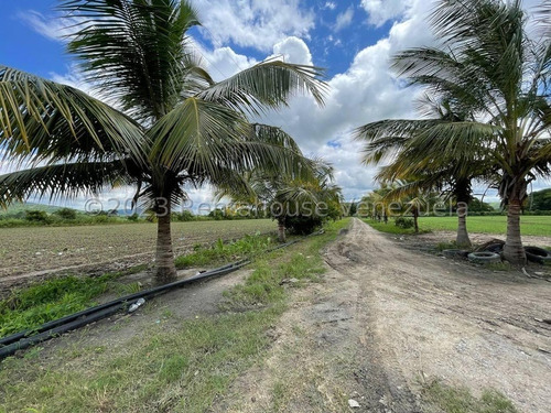Carlos Colmenarez Felx 23-33543 Vende Finca Con 10 Hectareas Y 4.642 Mts Pozo Profundo De 80 Metros, Bomba De 14 Hp Luz Trifasica Laguna De 50 Por 40 Metros Cochinera De 30 Corrales