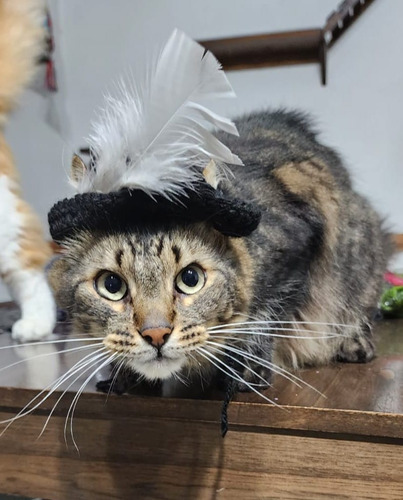 Pechera / Gorros Para Gatos Tejidos Crochet Lapicera Fucsia