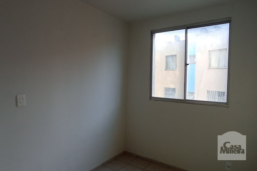 Imagem 5 de 15 de Apartamento À Venda No São João Batista - Código 443806 - 443806