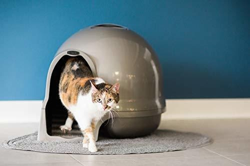 Arenero Para Gato Booda Petmate Cleanstep Dome