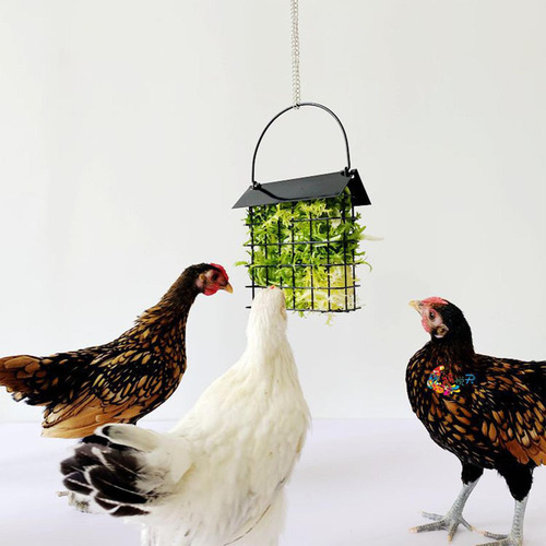 Comedero Colgante Sebo Jaula Soporte Para Gallinas Pollo