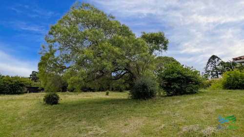 Venta De Casa 3 Dormitorios Y Servicio En El Golf Punta Del Este