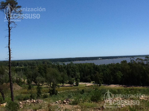 Imagen 4 de 19 de Punta Del Este - Chacra Venta Usd 1.100.000