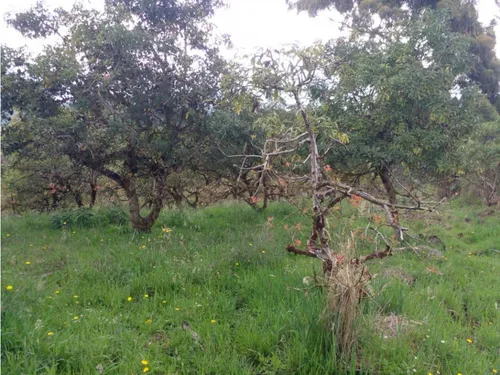 Lote En Vender En La Ceja