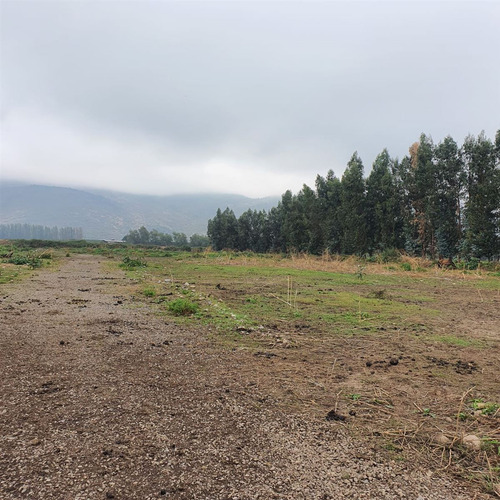 Excelente Terreno En Sector Roma San Fernando