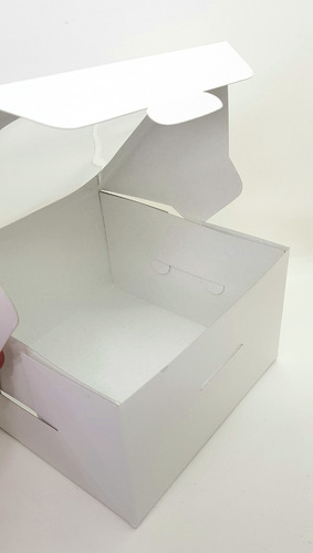 Caja Para Mini Tortas (17 X 17 X 10 Cm) C/visor Pack X 10 U.