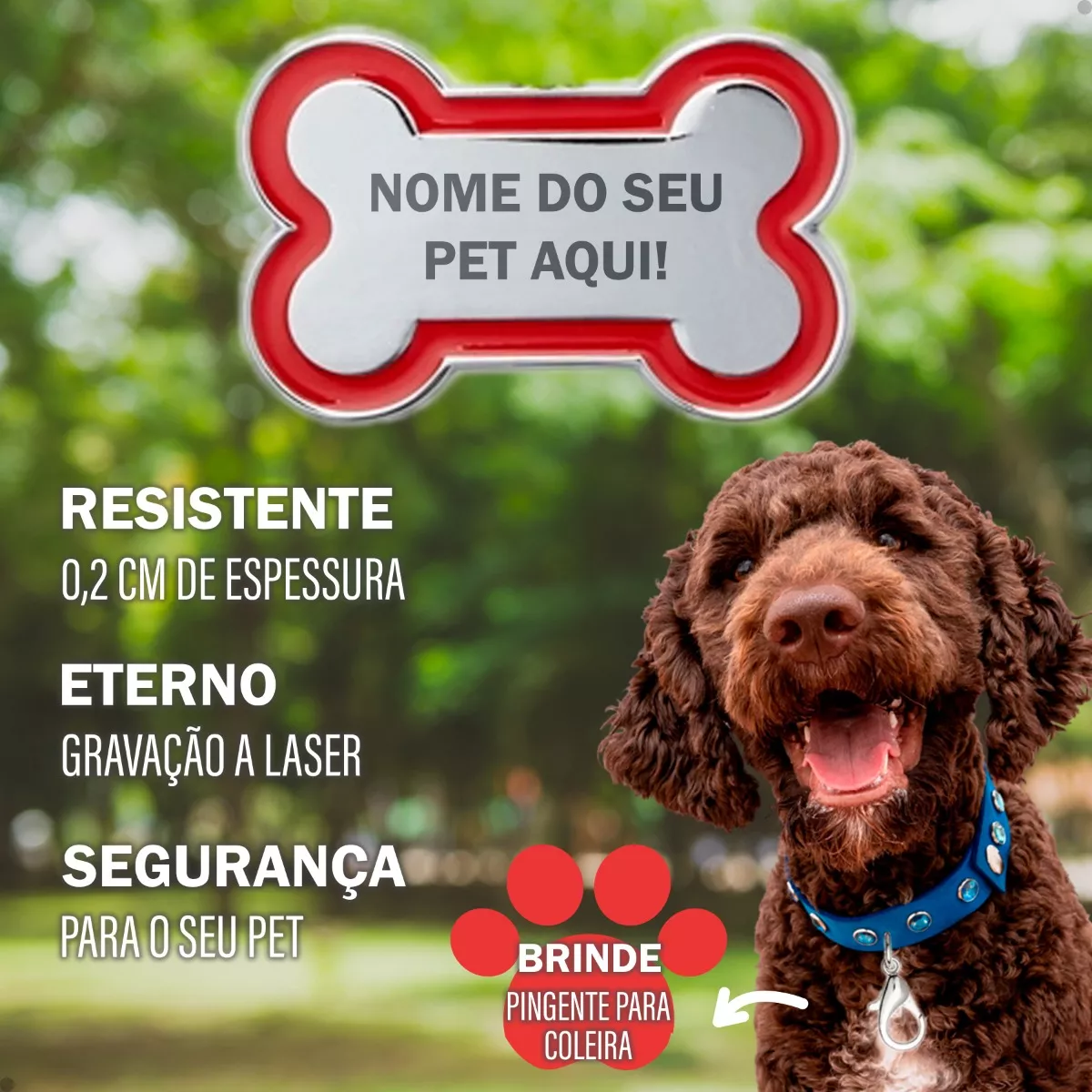 Segunda imagem para pesquisa de plaquinha pet identificacao