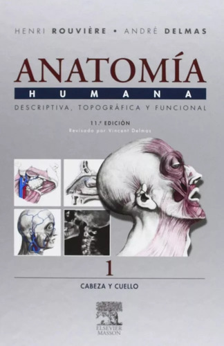 Anatomía Rouviere