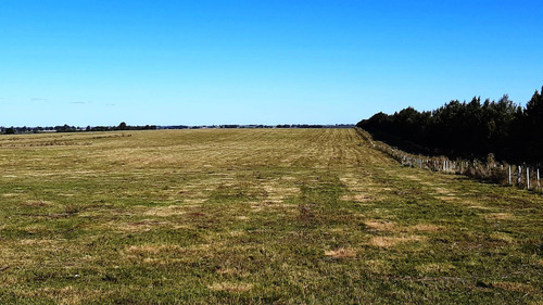 Imagen 8 de 18 de Hermosas Chacras Campos De 3 Hectareas En Tala