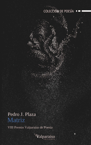 MATRIZ, de PLAZA, PEDRO J.. Editorial VALPARAÍSO EDICIONES, tapa blanda en español