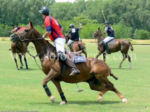 Estancia Benquerencia Farm Club - San Miguel Del Monte - Pcia De Buenos Aires