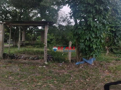 Imagem 6 de 9 de Terreno Multifamiliar Frente A Lagoa - Te0014