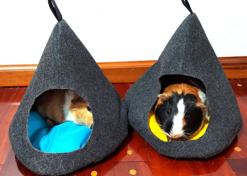 Casita Iglu Para Cobayo