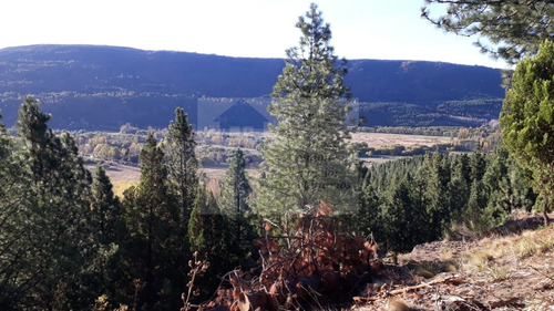 Imagen 3 de 10 de Vendo Lote En B° La Jauria, San Martin De Los Andes