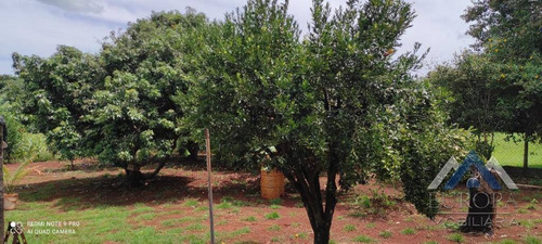 Chácara Com 3 Dormitórios À Venda, 4800 M² Por R$ 870.000,00 - Recanto Dos Pinheiros - Cambé/pr - Ch0179