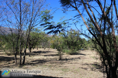 Lote De 1500m2 En Cerro De Oro, Sobre Calle Cuesta De La Granadilla