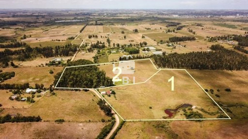 Imagen 2 de 29 de Chacra En Venta Las Vertientes 2 Dormitorios - Ref : Pbi106 - San Carlos Camino De Los Ceibos