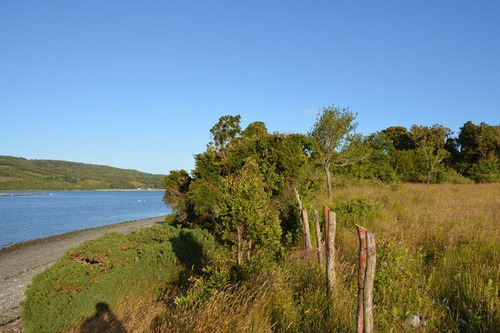 Imagen 11 de 16 de Se Venden Parcelas Con Orilla De Playa En Chiloé