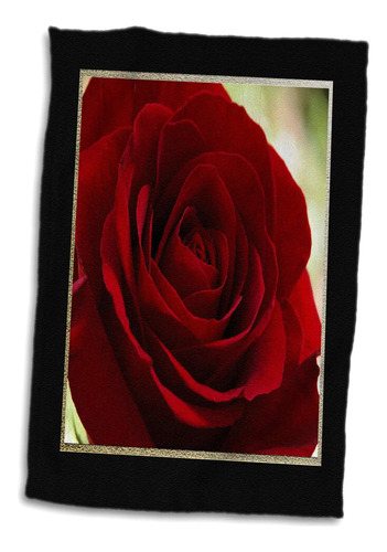 3d Rose Marco De Rosas Rojas En Toalla Dorada Y Negra, 15 X 