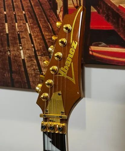Guitarra Ibanez Rg350dx Rg 350 Dx Customizada | MercadoLivre