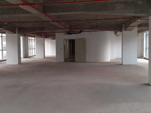 Imagen 8 de 14 de Se Alquila Oficina 390m2 Santa Paula 2778