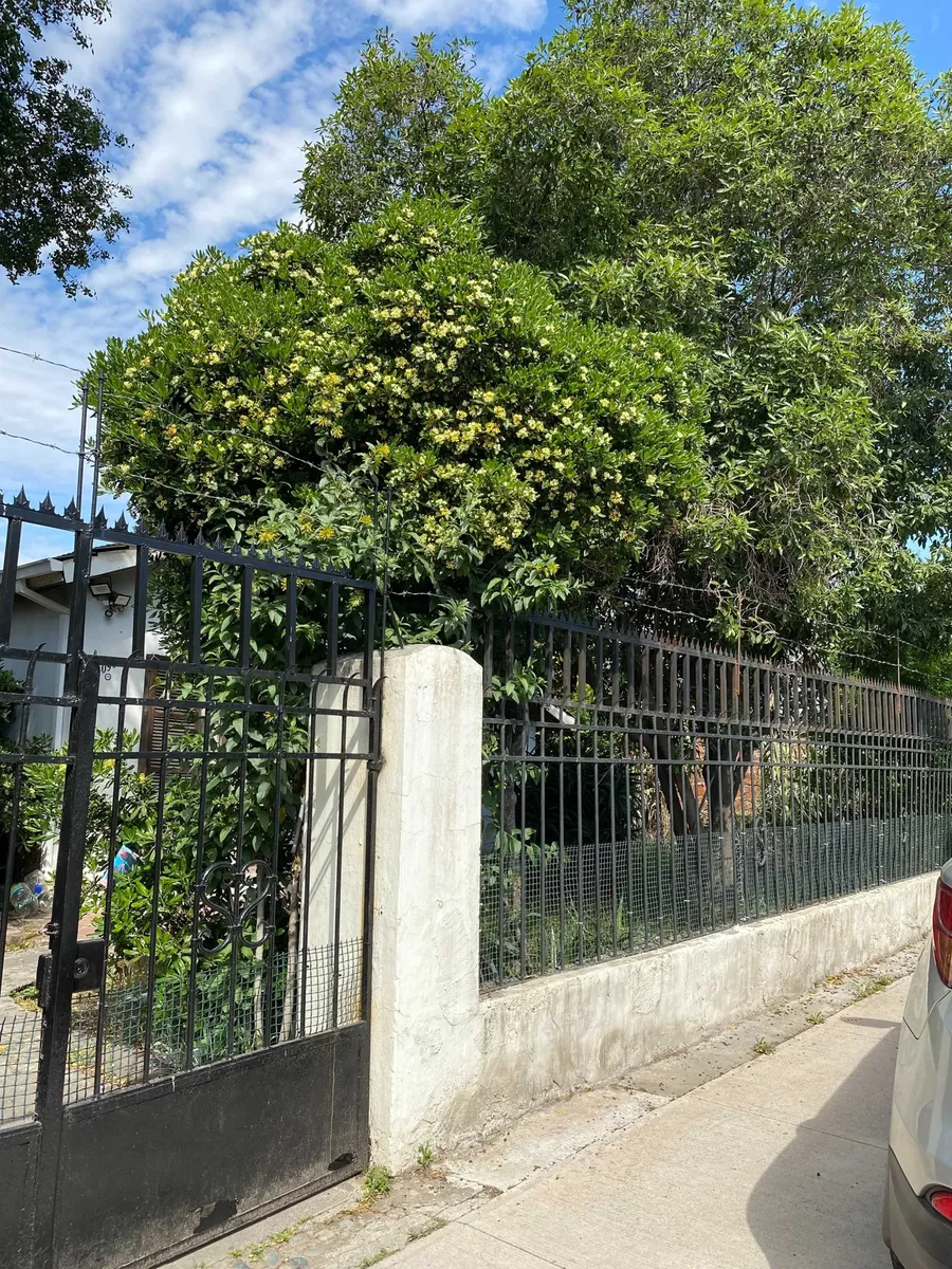 Imagen 4 de 23 de Casa Con Gran Terreno/metro R.araya (63432)