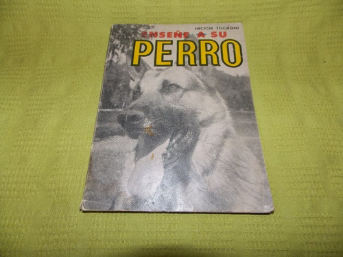 Enseñe A Su Perro - Héctor Tocagni - Albatros