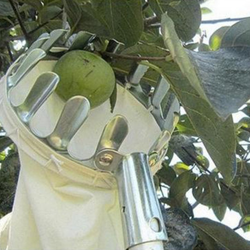 Imagen 5 de 9 de Poste Recolector De Frutas Con Canasta 14cm De Diámetro