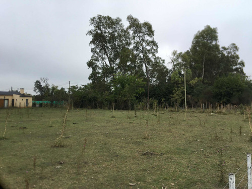 Venta Lote De Quinta Tapalque