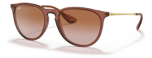 Ray-ban Erika Lente Grandient Brown-transparent Light Brown