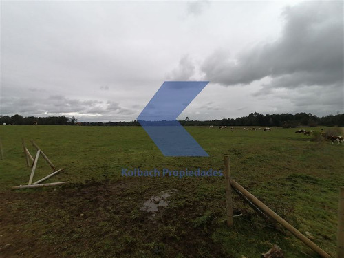 Agrícola Ganadero En Venta En Los Muermos