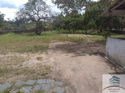 Imagem 6 de 8 de Granja A Venda São Gonçalo Do Amarante