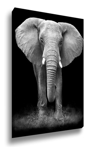 Quadro Decorativo Canvas Grande Elefante Africano 100x150 Cor Impressão em Alta Resolução Cor da armação Tecido Canvas Borda Infinita
