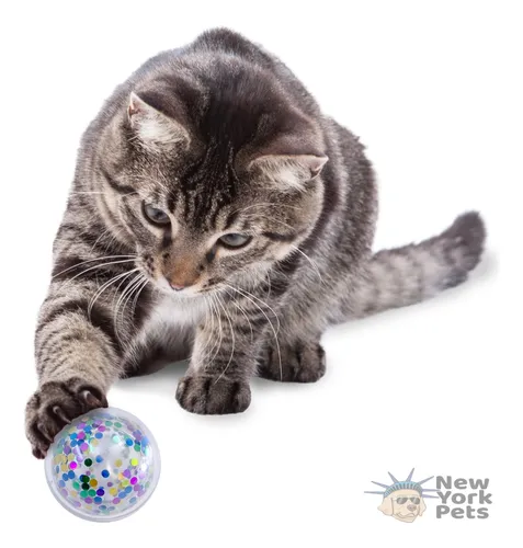 Kong confetti ball hot sale