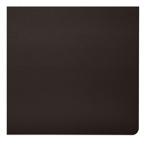Lugar Americano Jolitex Pvc Prime Marrom