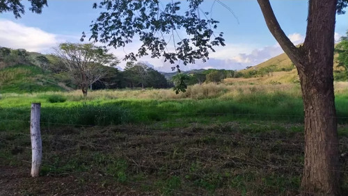Venta Granja Integral Productiva Avicola Ganadera Y Minera Tinaquillo Edo. Cojedes Negociable Con Financiamiento Jm