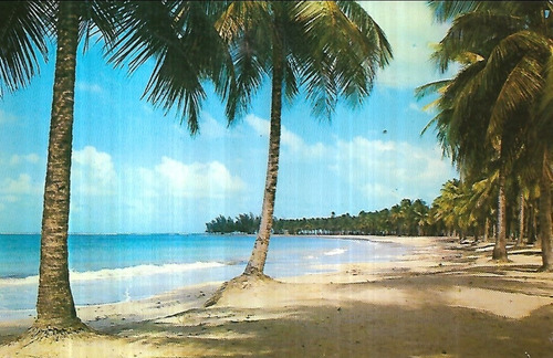Tarjeta Postal Playa De Luquillo - Puerto Rico
