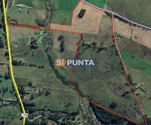 Imagen 4 de 4 de Campo En Venta - Ruta 104